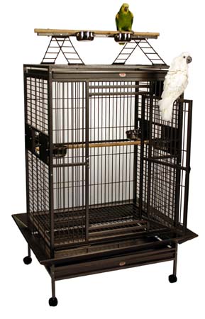 Lonomea Lookout� - Two Top Options